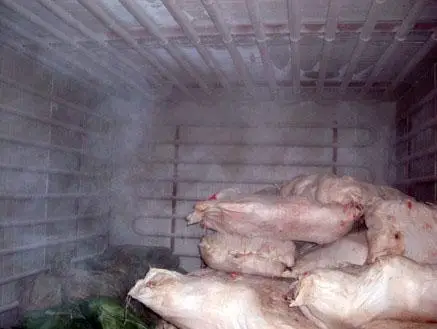 速冻肉类排管库